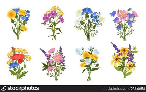 Meadow flowers bouquets. Beautiful blossom plants, cute compositions, colorful poppies, dandelions and sunflowers, spring summer botany herbal bundle for decoration, vector hand drawn isolated set. Meadow flowers bouquets. Beautiful blossom plants, cute compositions, colorful poppies, dandelions and sunflowers, spring summer botany herbal bundle for decoration, vector set