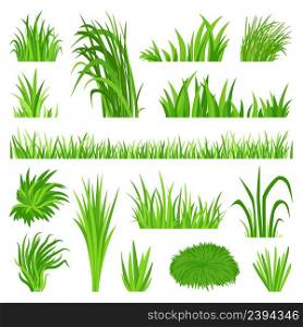 Meadow grass elements. Back yard field, organic green lawn. Weeds vegetation, decorative isolated planting objects. Natural bush, flora neoteric vector set. Illustration of yard lawn and grass meadow. Meadow grass elements. Back yard field, organic green lawn. Weeds vegetation, decorative isolated planting objects. Natural bush, flora neoteric vector set