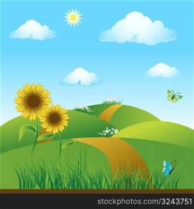 Meadow green, summer, sunflowers and butterflies