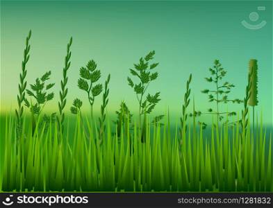 meadow. Idyllic landscape with fresh green meadows