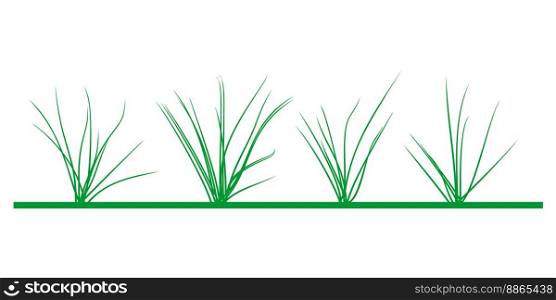 meadow illustration with four different grass plants. meadow illustration with grass plants
