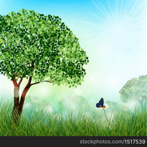 Meadow landscape with trees and butterfly in the flower .Vector illustration