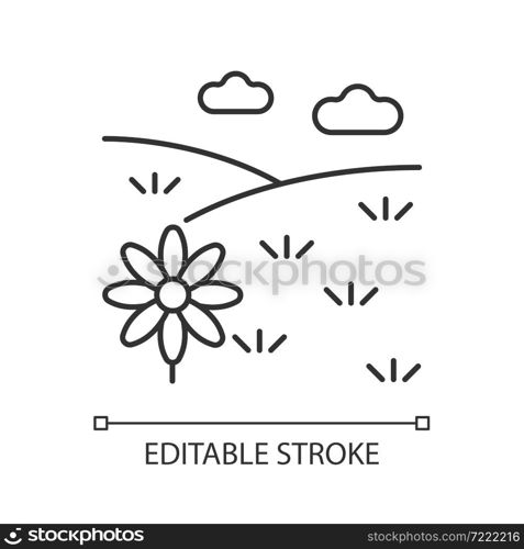 Meadow linear icon. Grass covered open land. Field with flowers. Grassland and pastureland. Thin line customizable illustration. Contour symbol. Vector isolated outline drawing. Editable stroke. Meadow linear icon