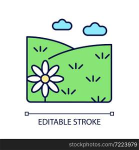 Meadow RGB color icon. Grass covered open land. Field with flowers. Grassland and pastureland. Herb vegetated plain terrain. Isolated vector illustration. Simple filled line drawing. Editable stroke. Meadow RGB color icon