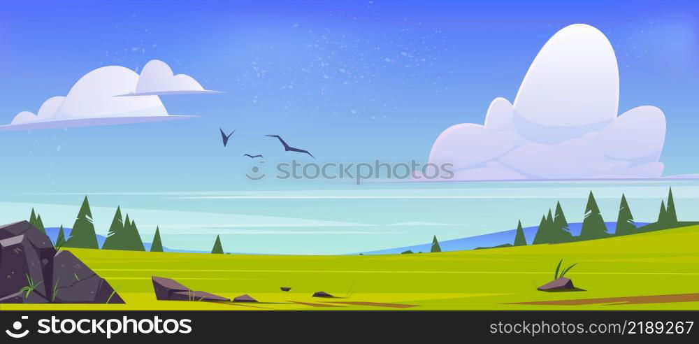 Meadow with green grass, conifers and hills on horizon. Vector illustration of summer or spring landscape of field or pasture with plants and stones and flying birds in sky. Meadow with green grass, conifers and hills