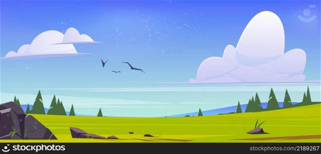 Meadow with green grass, conifers and hills on horizon. Vector illustration of summer or spring landscape of field or pasture with plants and stones and flying birds in sky. Meadow with green grass, conifers and hills