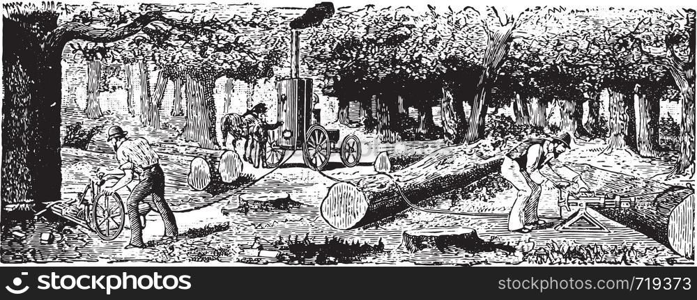 Mechanical cutting of trees, vintage engraved illustration. Industrial encyclopedia E.-O. Lami - 1875.