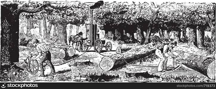 Mechanical cutting of trees, vintage engraved illustration. Industrial encyclopedia E.-O. Lami - 1875.