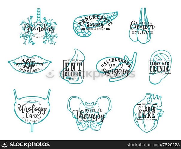 Medical clinic lettering, human body organs calligraphy. Vector medicine surgery and healthcare center, bronchus or pancreatic disease diagnostic, ear and cardio or urology therapy treatment. Human body organs, medical clinic lettering