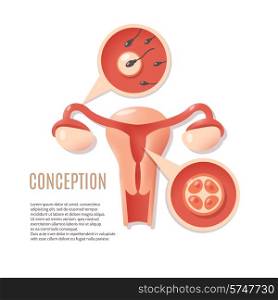 Medical genecology educational early pregnancy visualization schema fertilization and embryo implantation poster icon print abstract vector illustration