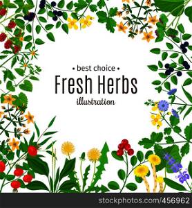 Medical herbs or botanical herb frame with text vector background. Medical herbs frame with text background