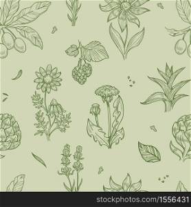 Medical herbs wild flowers and plants seamless pattern vector dandelion and aloe rose hip and echinacea endless texture treatment, and healthcare tea or broth brewing monochrome wallpaper print. Wild flowers and plants seamless pattern medical herbs