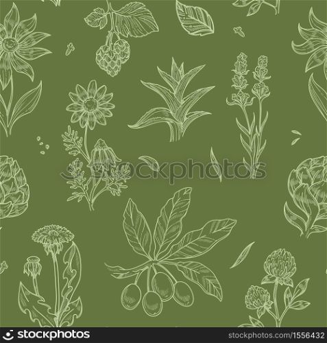 Medical herbs wild flowers and plants seamless pattern vector dandelion and aloe clover and hop rosehip and echinacea, endless texture treatment and healthcare tea brewing monochrome wallpaper print. Flowers and plants seamless pattern wild medical herbs