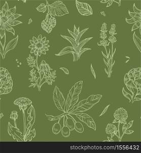 Medical herbs wild flowers and plants seamless pattern vector dandelion and aloe clover and hop rosehip and echinacea, endless texture treatment and healthcare tea brewing monochrome wallpaper print. Flowers and plants seamless pattern wild medical herbs
