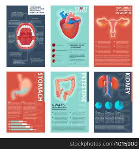 Medical infographic pages. Health digestive systems healthcare human biology vector catalog template. Illustration of kidney and digestive, stomach anatomical. Medical infographic pages. Health digestive systems healthcare human biology vector catalog template