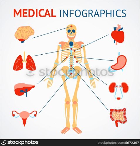 Medical infographic set of human skeleton and internal organs vector illustration
