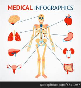Medical infographic set of human skeleton and internal organs vector illustration