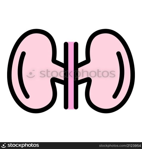 Medical kidney icon. Outline medical kidney vector icon color flat isolated. Medical kidney icon color outline vector