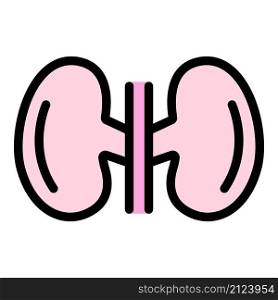 Medical kidney icon. Outline medical kidney vector icon color flat isolated. Medical kidney icon color outline vector