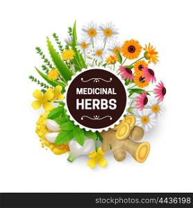 Medicinal Herbs Plants Wreath Flat Frame. Medicinal natural healing plants and herbs decorative frame with dandelion echinacea mustard and garlic abstract vector illustration