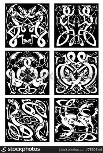 Medieval celtic knot patterns of dragons with entwined wings and tails on black background for tribal tattoo design. Celtic knot patterns with tribal dragons