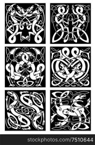 Medieval celtic knot patterns of dragons with entwined wings and tails on black background for tribal tattoo design. Celtic knot patterns with tribal dragons