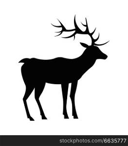 Medium-sized adult male deer colorless black silhouette with long antlers and short tail isolated vector illustration on white background, view from Left. Medium-Sized Adult Male Deer Colorless Black Icon