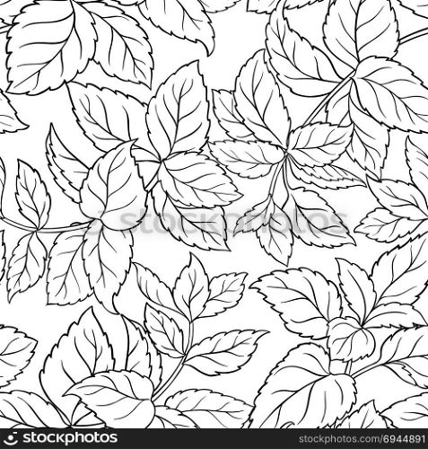 melissa seamless pattern. melissa herb seamless pattern on white background