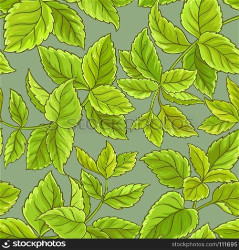 melissa vector pattern. melissa leaves vector pattern on color background