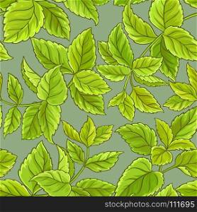 melissa vector pattern. melissa leaves vector pattern on color background