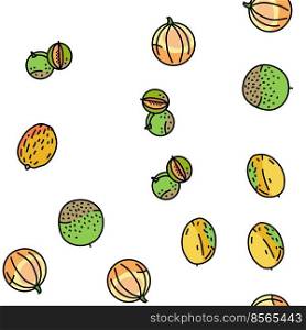 melon cantaloupe yellow fruit Vector Seamless Pattern Thin Line Illustration. melon cantaloupe yellow fruit vector seamless pattern