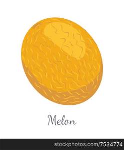 Melon exotic juicy stone fruit vector isolated. Tropical sweet edible, fleshy food, dieting vegetarian icon full of vitamins, yellow dieting dessert. Melon Exotic Juicy Stone Fruit Vector Isolated