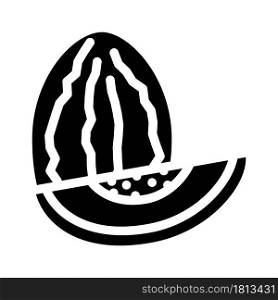 melon fruit glyph icon vector. melon fruit sign. isolated contour symbol black illustration. melon fruit glyph icon vector illustration