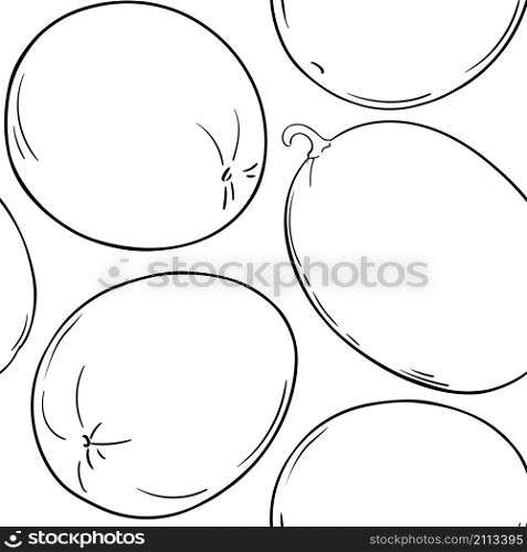 melon fruit vector pattern on white background