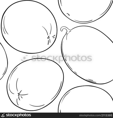 melon fruit vector pattern on white background