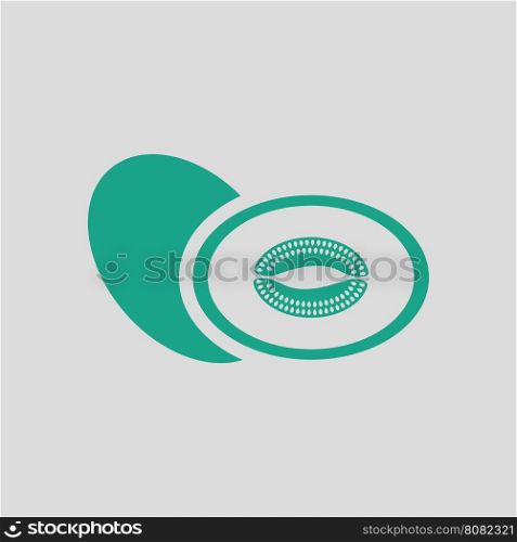 Melon icon. Gray background with green. Vector illustration.