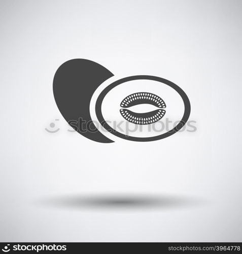 Melon icon on gray background with round shadow. Vector illustration.