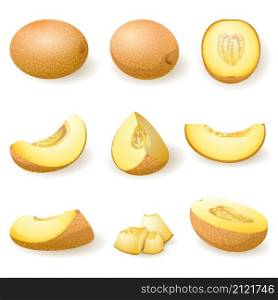 Melon icons set cartoon vector. Snacking cantaloupe. Summer fruit. Melon icons set cartoon vector. Snacking cantaloupe