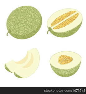 Melon icons set. Isometric set of melon vector icons for web design isolated on white background. Melon icons set, isometric style