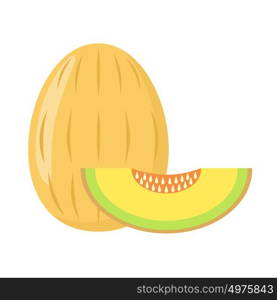 Melon on a white background isolated. Vector illustration