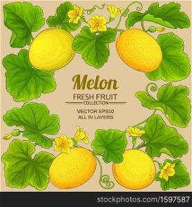 melon vector frame on color background. melon vector frame