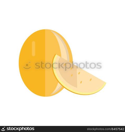 Melon vector in flat style design. Fruit illustration for conceptual banners, icons, mobile app pictogram, infographic, and logotype element. Isolated on white background. . Melon Vector Illustration In Flat Style Design.