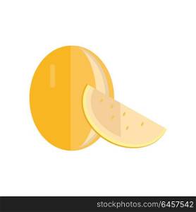 Melon vector in flat style design. Fruit illustration for conceptual banners, icons, mobile app pictogram, infographic, and logotype element. Isolated on white background. . Melon Vector Illustration In Flat Style Design.