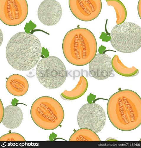 Melon whole and half seamless pattern on white background, Fresh cantaloupe melon pattern background, Fruit vector illustration.