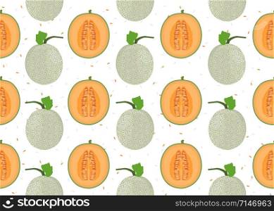 Melon whole and half seamless pattern on white background with seed, Fresh cantaloupe melon pattern background, Fruit vector illustration.