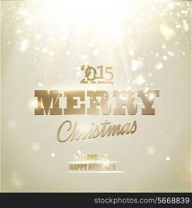 Merry Christmas and Happy New Year 2014 card over light background. Vector illustration.