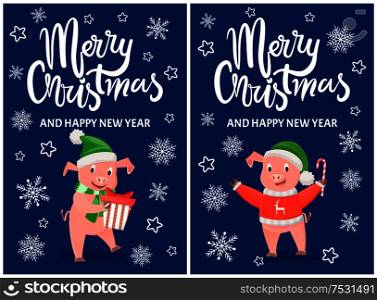Merry Christmas and Happy New Year greeting cards with pink pigs symbols of 2019 on blue backdrop with snowflakes. Piglet in scarf with candy and gift. New Year Greeting Cards, Pink Pigs Symbols of 2019