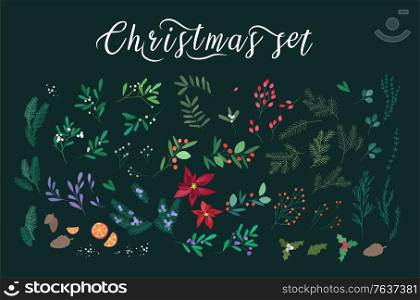 Merry Christmas and New Year greeting set with lettering, berries, poinsettia leaves, branches and cones of trees, hand drawn on black background. Floral vector illustration. Merry Christmas and New Year greeting set with lettering, berries, poinsettia leaves, branches and cones of trees, hand drawn on black background. Floral vector