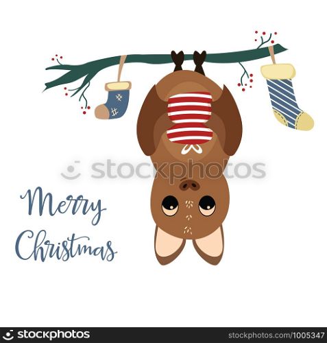 Merry Christmas card with cute bat and text. Merry Christmas card with cute bat