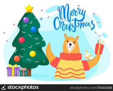 Merry christmas celebration. Greeting card with decorated pine tree, presents and bear. Animal wearing warm knitted clothes holding gift. Winter holidays with calligraphic inscription vector in flat. Merry Christmas Greeting Card with Wishes Vector